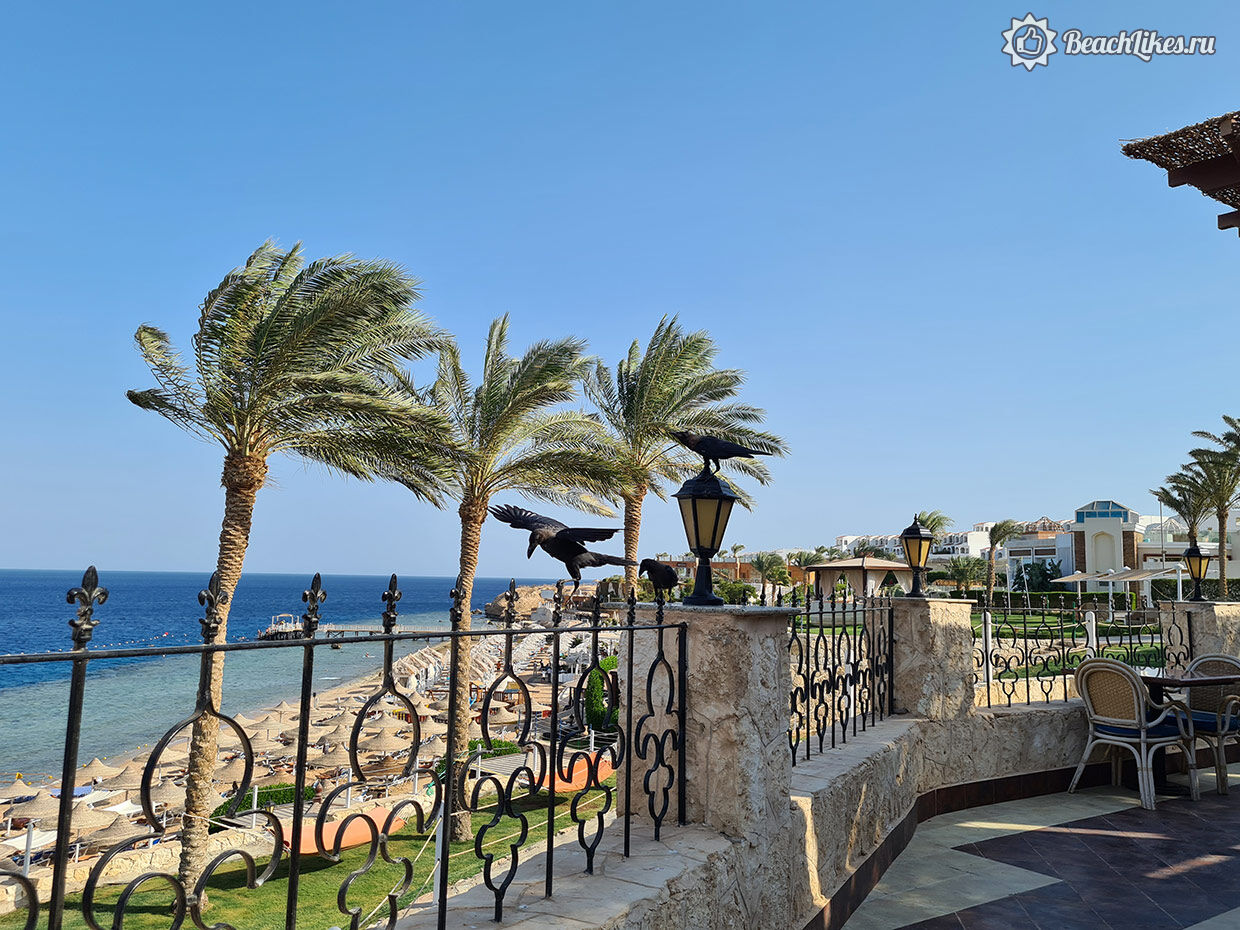 Sultan Gardens Resort Шарм-эль-Шейх отзыв про пляж отеля