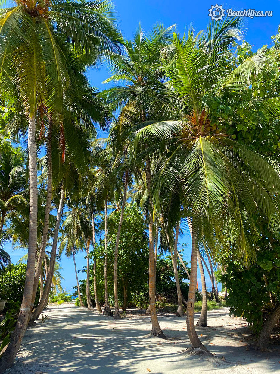 East Beach пляж на Фуладу Мальдивы фото