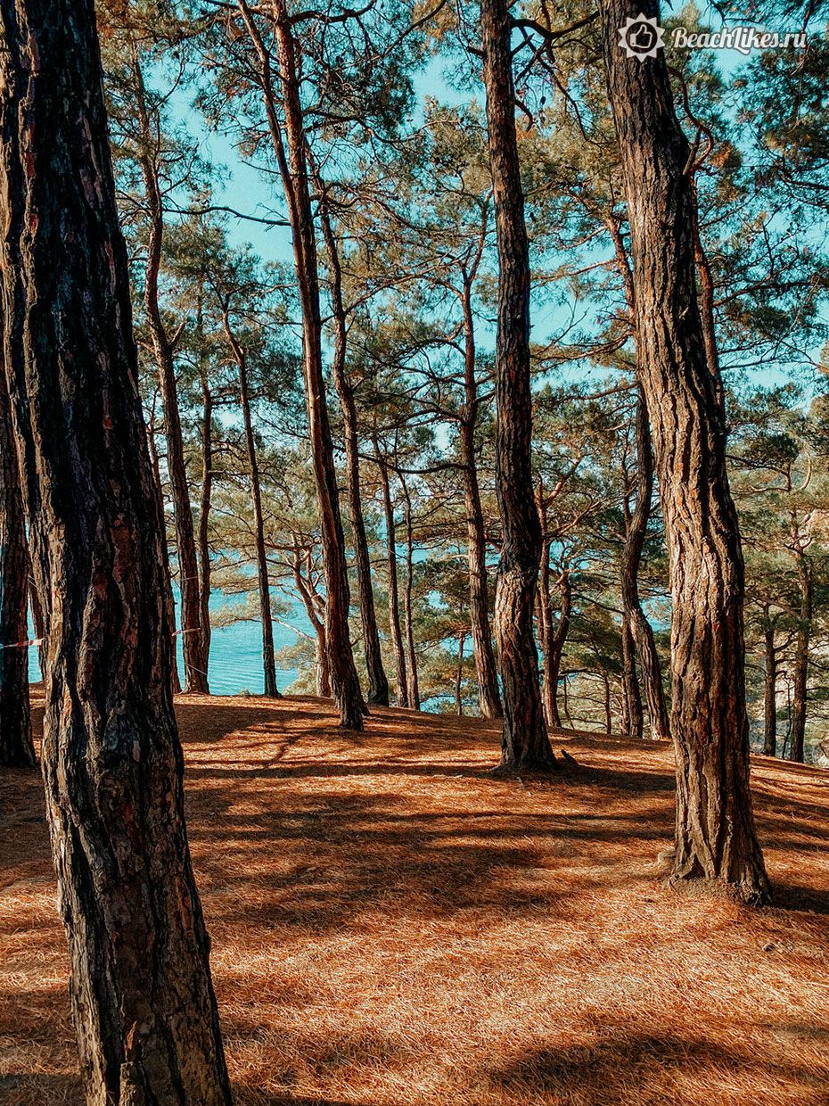 Дорога до пляжа Сосновка в Геленджике
